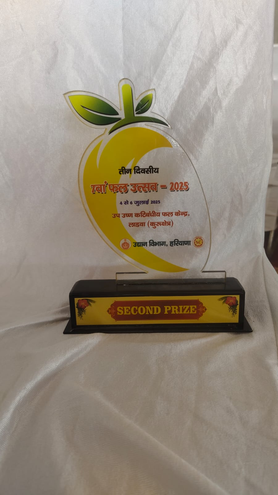 Award Ceremony Image 3